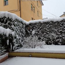 Neve2026-03-26T07_08_13.JPG