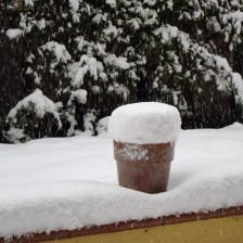 Neve2026-03-26T07_08_30.JPG
