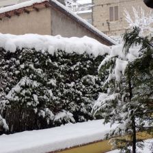 Neve2026-03-26T07_08_38.JPG