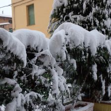 Neve2026-03-26T07_08_41.JPG