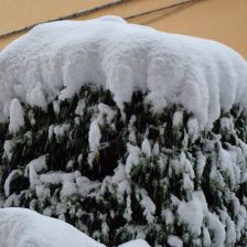 Neve2026-03-26T07_08_45.JPG