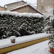 Neve2026-03-26T07_08_52.JPG