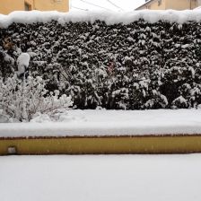 Neve2026-03-26T07_08_58.JPG