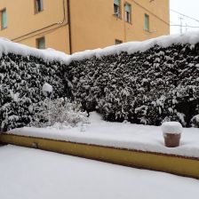 Neve2026-03-26T07_11_40.JPG