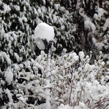 Neve2026-03-26T07_11_59.JPG