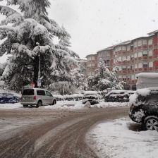 Neve2026-03-26T07_19_13.JPG