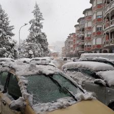 Neve2026-03-26T07_19_48.JPG