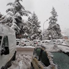 Neve2026-03-26T07_19_50.JPG