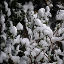 Neve_2026-03-26T07_46_15.JPG
