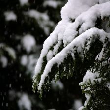 Neve_2026-03-26T07_46_22.JPG