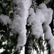 Neve_2026-03-26T07_46_27.JPG