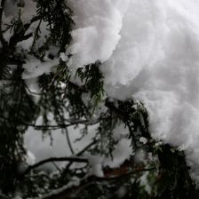Neve_2026-03-26T07_46_31.JPG