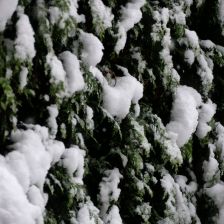 Neve_2026-03-26T07_46_35.JPG