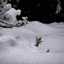 Neve_2026-03-26T07_46_41.JPG