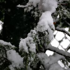 Neve_2026-03-26T07_46_50.JPG