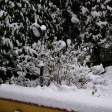 Neve_2026-03-26T07_47_58.JPG