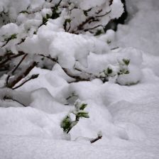 Neve_2026-03-26T07_48_08.JPG