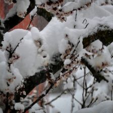 Neve_2026-03-26T08_07_15.JPG