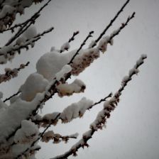 Neve_2026-03-26T08_07_29.JPG