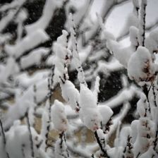 Neve_2026-03-26T08_07_44.JPG