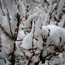 Neve_2026-03-26T08_08_00.JPG