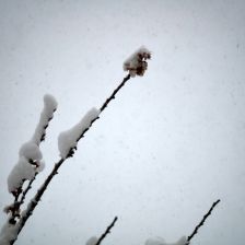 Neve_2026-03-26T08_08_30.JPG