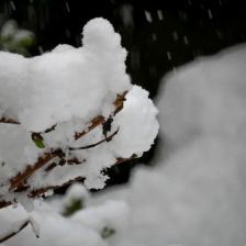 Neve_2026-03-26T08_09_10.JPG