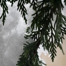 Neve_2026-03-26T08_10_39.JPG