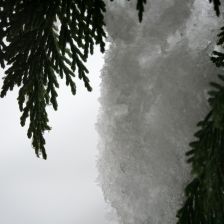 Neve_2026-03-26T08_10_47.JPG